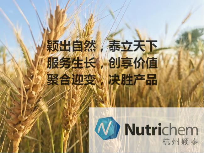 杭州公海赌船710_公海赌船710