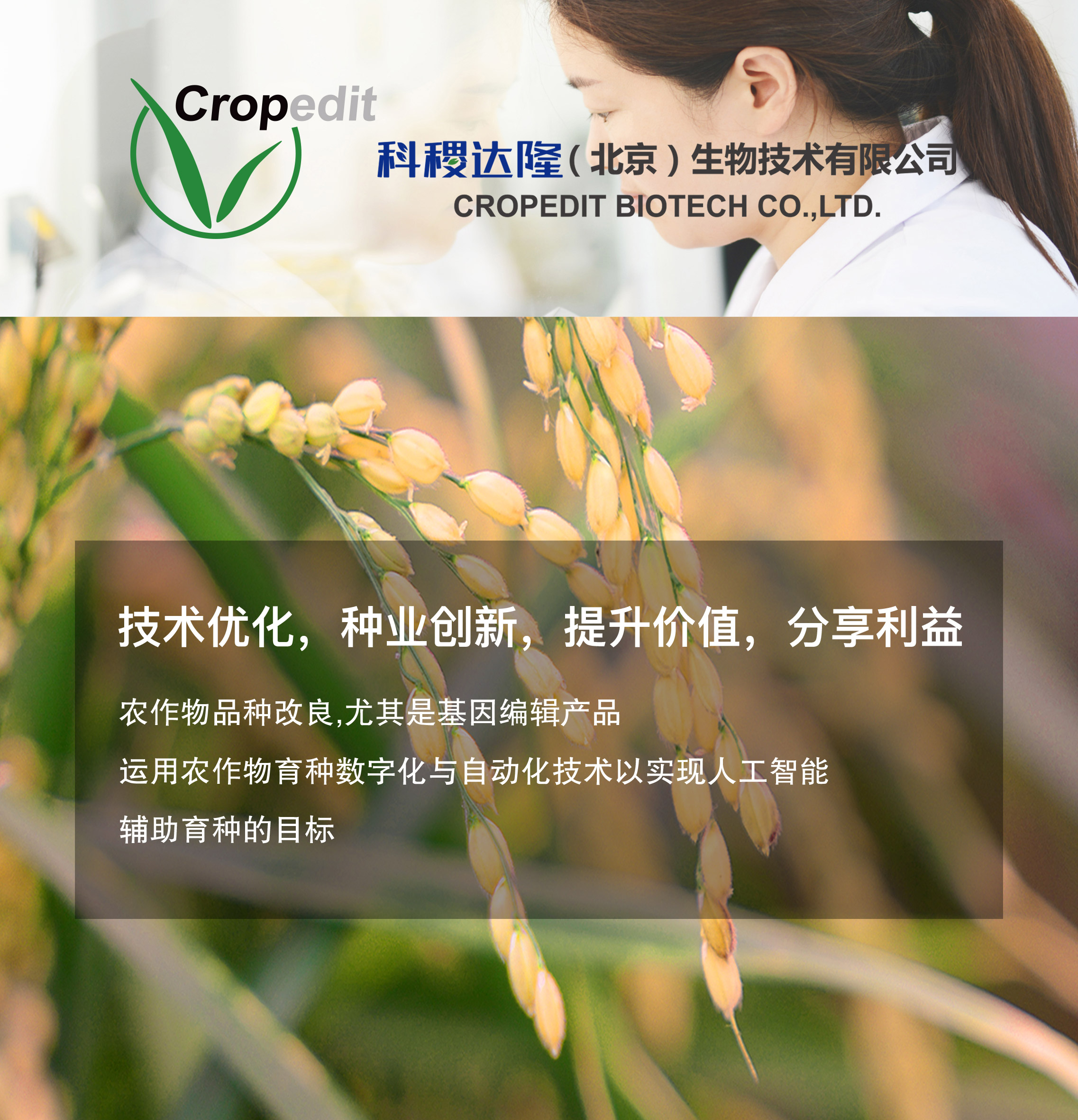 科稷达隆_公海赌船710
